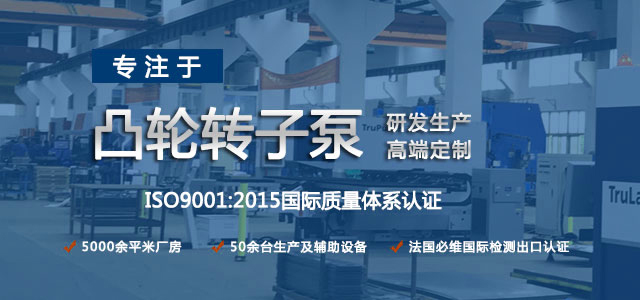 凸輪轉(zhuǎn)子泵生產(chǎn)廠家，專注于凸輪轉(zhuǎn)子泵的研發(fā)生產(chǎn)，高端定制